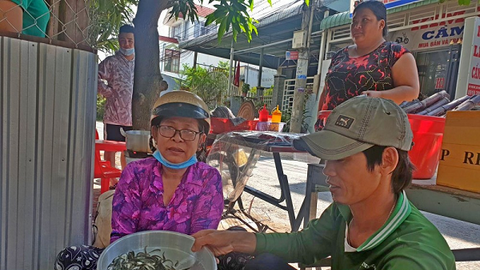 Khan hiếm cá linh non ở đầu nguồn