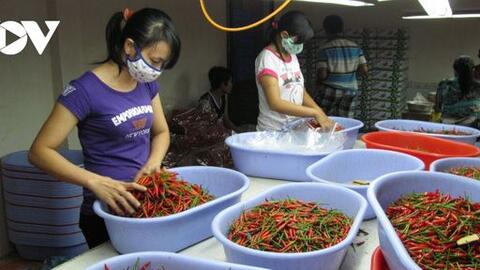 Nhiều mặt hàng nông sản lên giá, người dân phấn khởi