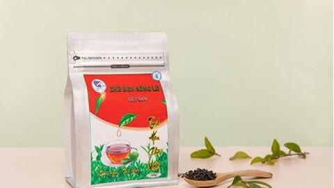 Ứng dụng công nghệ sinh học nâng cao giá trị cho cây chè