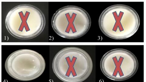 Sản xuất mỹ phẩm từ phụ phẩm tổ yến: Sẵn sàng chuyển giao công nghệ