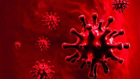 CHUYÊN GIA HOA KỲ & WHO: Đại dịch sắp kết thúc; COVID-19 sẽ trở thành bệnh đặc hữu