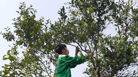 Tạo sức lan tỏa cho sản phẩm OCOP