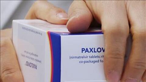 COVID-19: EMA "bật đèn xanh" cho thuốc điều trị Paxlovid của Pfizer