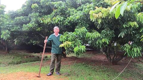 Hội Làm vườn TP. Hải Phòng: Giúp nông dân thay đổi tư duy đưa nông nghiệp hữu cơ, tuần hoàn vào vườn mẫu