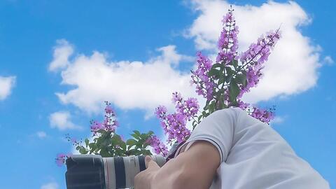 Vòng quanh thành Vinh để cảm nhận vẻ đẹp của những chùm hoa phố