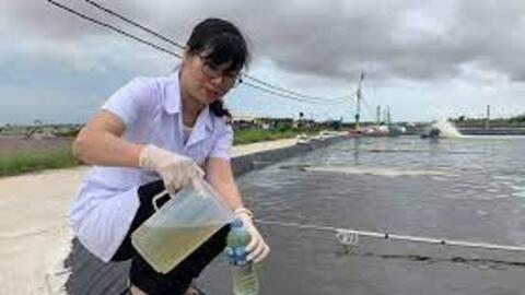 Phân lập, tuyển chọn và định danh vi khuẩn tía không lưu huỳnh, thử nghiệm khả năng xử lý sulfide trong nước ao nuôi tôm tại huyện Kiên Lương, tỉnh Kiên Giang