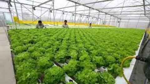 "GAP" hay không "GAP" như nhau