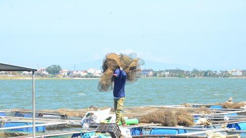 Chấm dứt tình trạng khai thác thủy sản bất hợp pháp