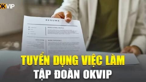 Việc làm Design OKVIP – Sáng tạo, nhận lương cao