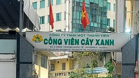 Chỉ đạo xử lý sai sót tại Công ty Công viên Cây xanh