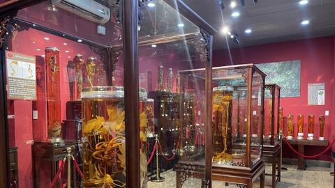 Lần đầu tổ chức Lễ hội sâm và hương liệu quốc tế TP HCM