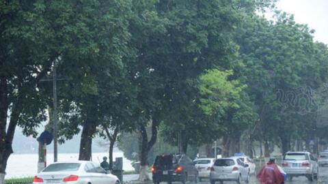 Nhiều khu vực trên cả nước có mưa rào và dông, cục bộ có mưa to