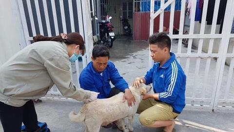 Tăng cường phòng, chống bệnh lây truyền từ động vật sang người