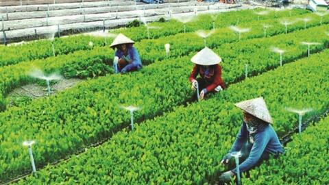 Hà Nội có 1.498 hợp tác xã nông nghiệp