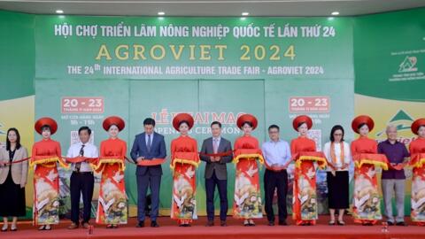 Kết nối chuỗi giá trị, phát triển nông nghiệp xanh, kinh tế tuần hoàn