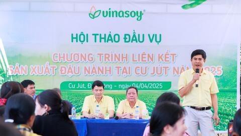 Vụ mới bắt đầu trên “cánh đồng đạm tự nhiên” ở Cư Jút