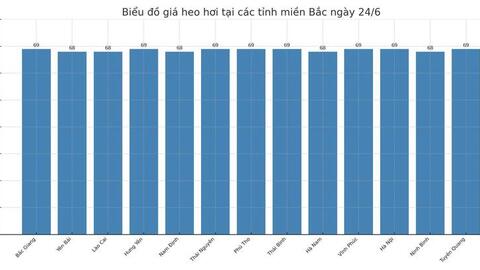 Giá heo hơi hôm nay 24/6/2025: Giảm đồng loạt tại miền Trung, miền Nam