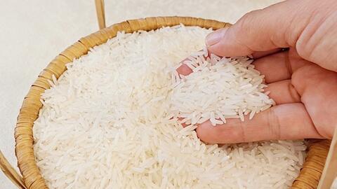 Giá lúa gạo hôm nay ngày 4/7/2025: Lúa tươi chững giá, gạo bình ổn