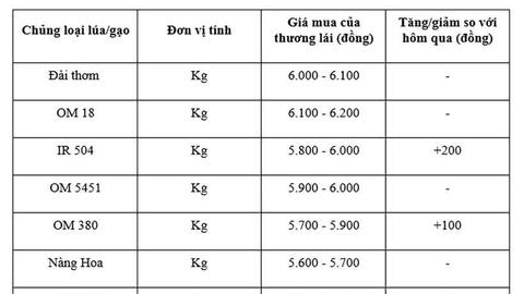 Giá lúa gạo hôm nay ngày 7/7/2025: Biến động trái chiều