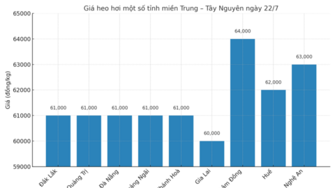 Giá heo hơi hôm nay ngày 22/7/2025: Đồng loạt giảm trên toàn quốc
