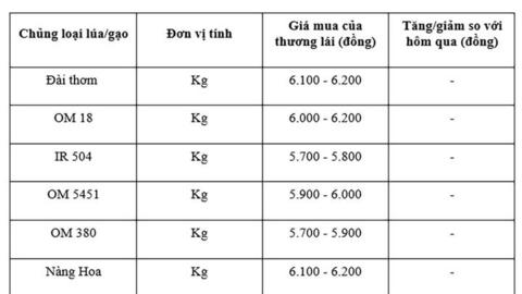 Giá lúa gạo hôm nay ngày 24/7: Gạo nguyên liệu xuất khẩu tiếp đà tăng