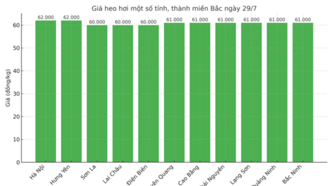 Giá heo hơi hôm nay ngày 29/7/2025: Miền Trung, miền Nam tiếp đà giảm