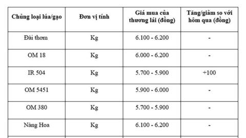 Giá lúa gạo hôm nay ngày 29/7: Lúa tươi xu hướng tăng