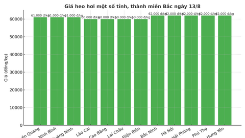 Giá heo hơi hôm nay 13/8/2025: Giảm ở cả 3 miền