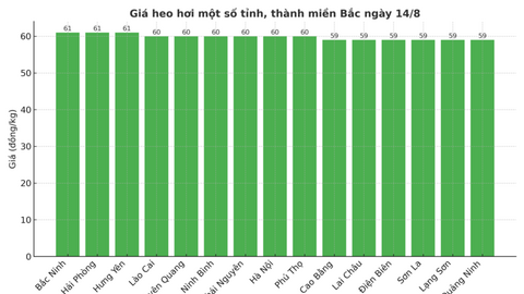 Giá heo hơi hôm nay ngày 14/8/2025: Lao dốc tại cả 3 miền