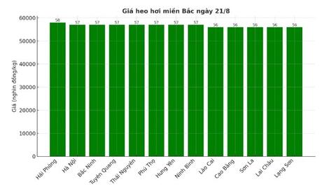 Giá heo hơi hôm nay 21/8/2025: Giảm trên toàn quốc