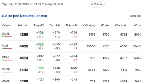 Giá cà phê hôm nay 25/8/2025: Trong nước tiếp tục tăng nhẹ