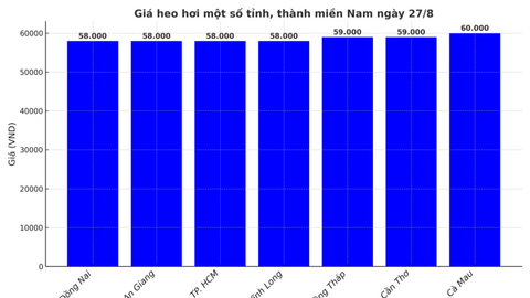Giá heo hơi hôm nay 27/8/2025: Nhiều địa phương giảm mạnh