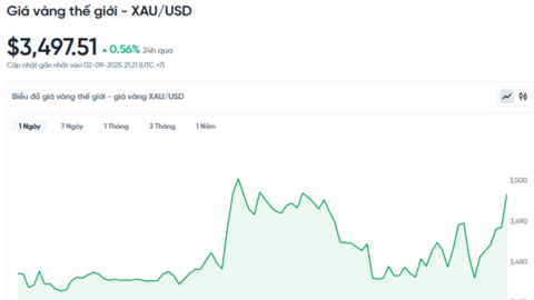 Giá vàng hôm nay 03/09/2025