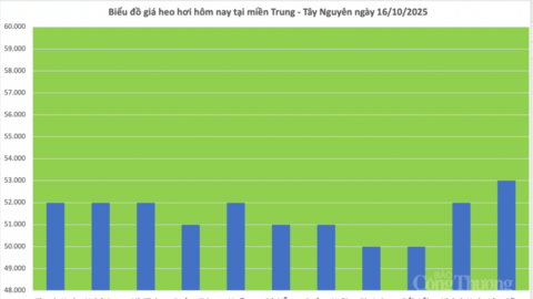 Giá heo hơi hôm nay 16/10/2025: Miền Bắc và miền Nam giảm vài nơi