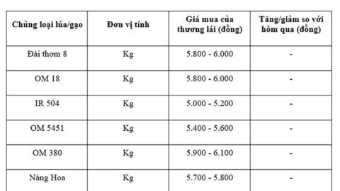 Giá lúa gạo hôm nay ngày 17/10: Thị trường lặng sóng