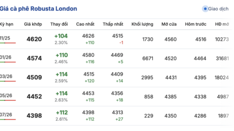 Giá cà phê hôm nay 22/10/2025: Trong nước đi ngang