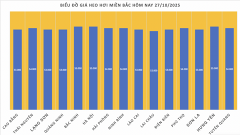 Giá heo hơi hôm nay 27/10/2025: Miền Bắc duy trì đỉnh giá