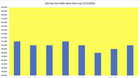 Giá heo hơi hôm nay 7/11/2025: Tiếp tục giảm nhẹ