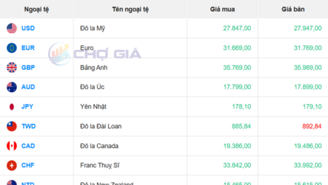 Tỷ giá USD hôm nay 7/11/2025: Giảm trên thế giới, chợ đen tăng mạnh