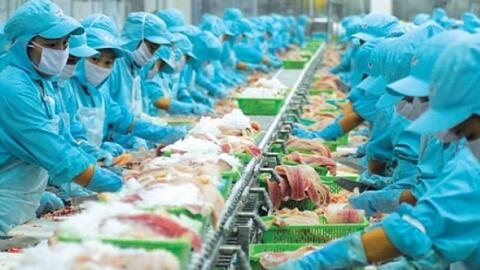 ‘Rộng đường’ cho cổ phiếu thủy sản