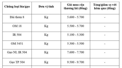 Giá lúa gạo hôm nay ngày 10/11: Thị trường lặng sóng