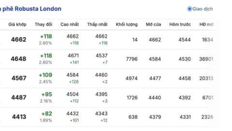 Giá cà phê hôm nay 10/11/2025: Trong nước neo cao