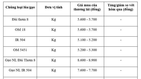 Giá lúa gạo hôm nay ngày 19/11: Thị trường trầm lắng