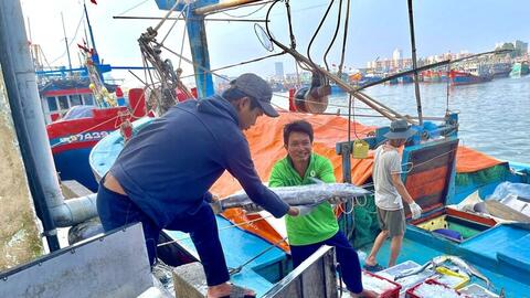 Thứ trưởng Phùng Đức Tiến: Việt Nam quyết tâm gỡ 'thẻ vàng' IUU