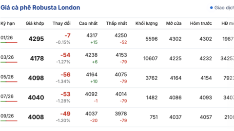 Giá cà phê hôm nay 8/12/2025: Đi ngang
