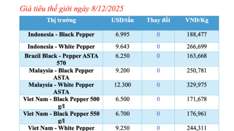 Giá tiêu hôm nay 8/12/2025: Cao nhất 149.000 đồng/kg