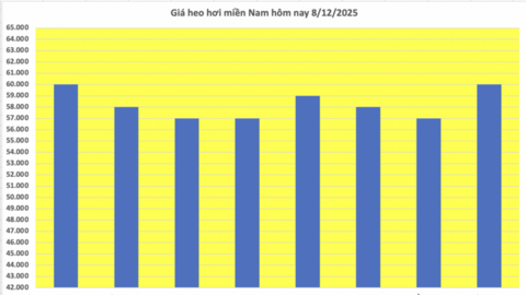 Giá heo hơi hôm nay 8/12/2025: Kéo dài đà tăng