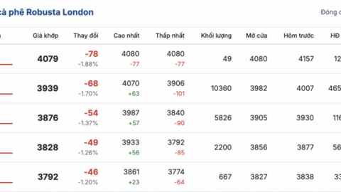 Giá cà phê hôm nay 9/1/2026: Giảm nhẹ vài nơi