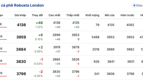 Giá cà phê hôm nay 15/1/2026: Tăng nhẹ