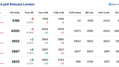 Giá cà phê hôm nay 19/1/2026: Chững lại phiên đầu tuần